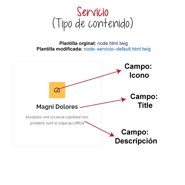 Plantilla Servicio